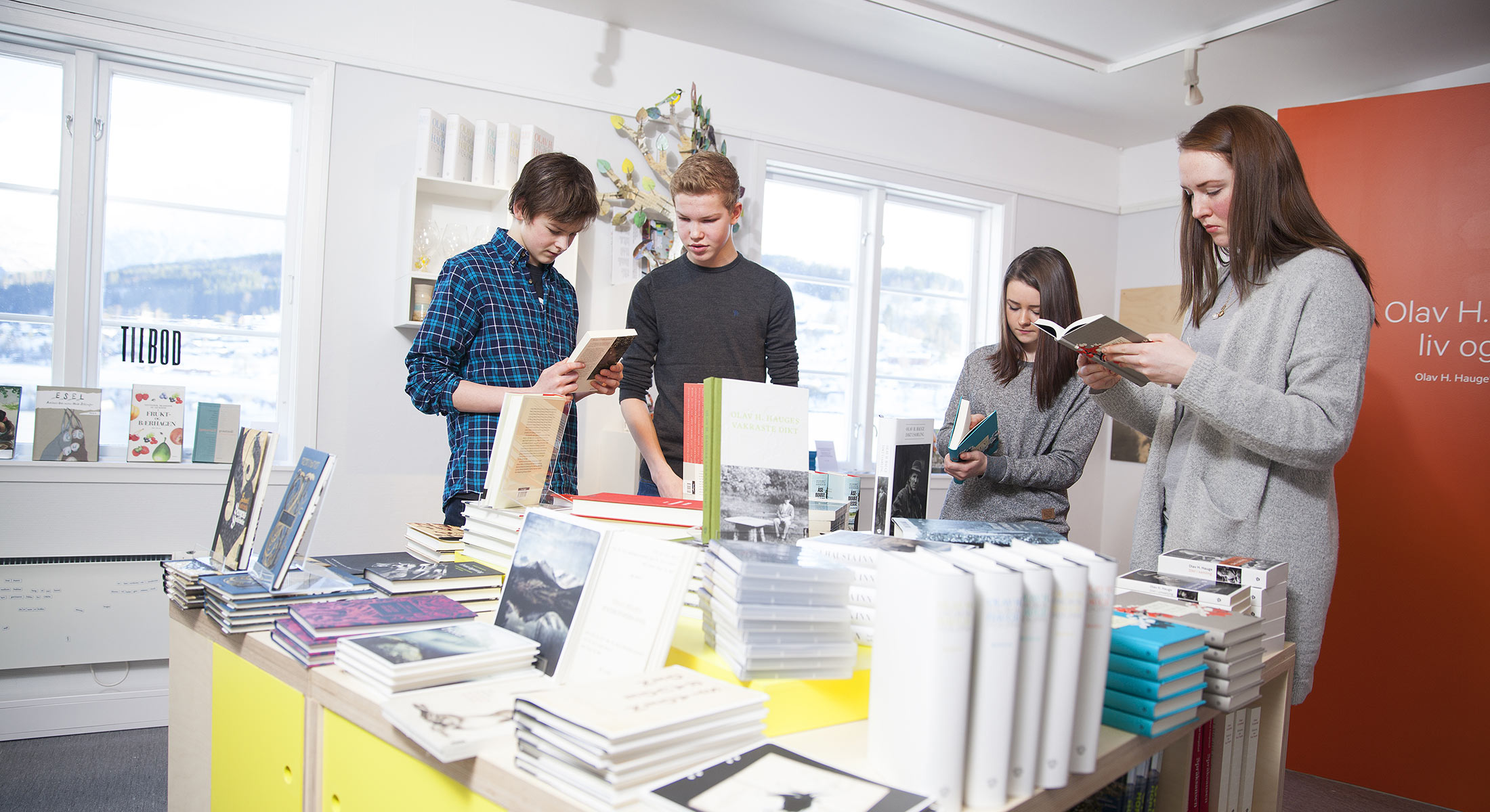 Haugesenteret-1 Haugesenteret-1