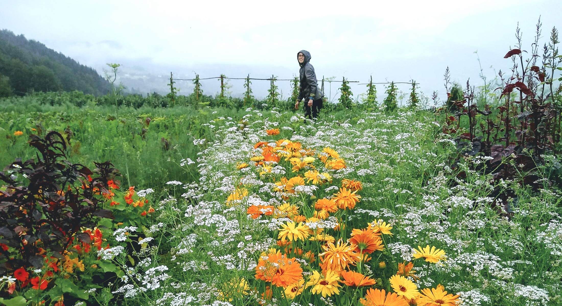 Hovedbilde-Undeland Hovedbilde-Undeland