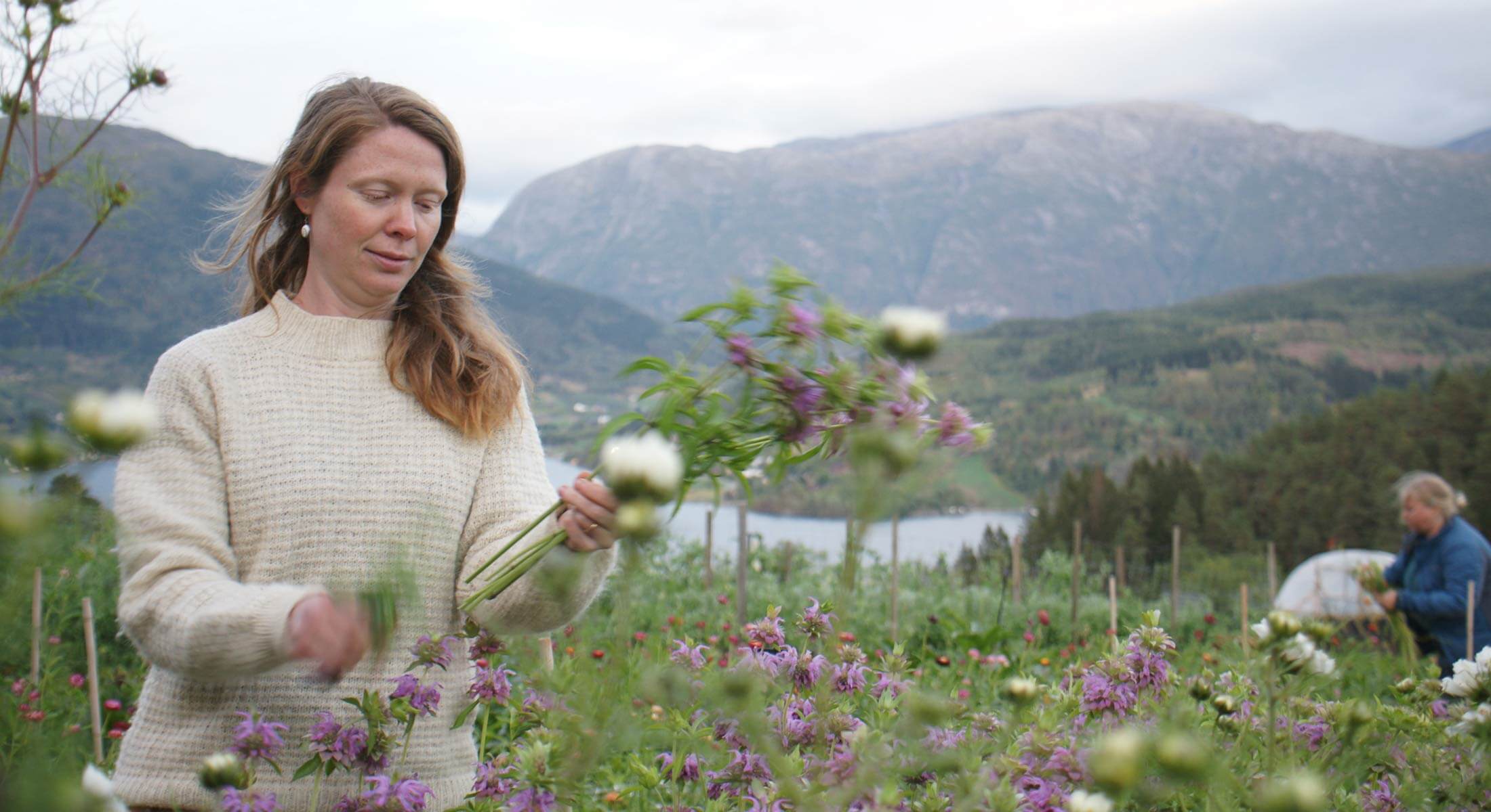 underland-gard2 underland-gard2