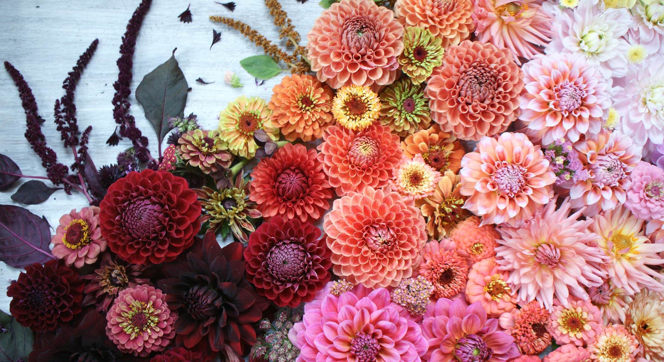 underland-gard3 underland-gard3