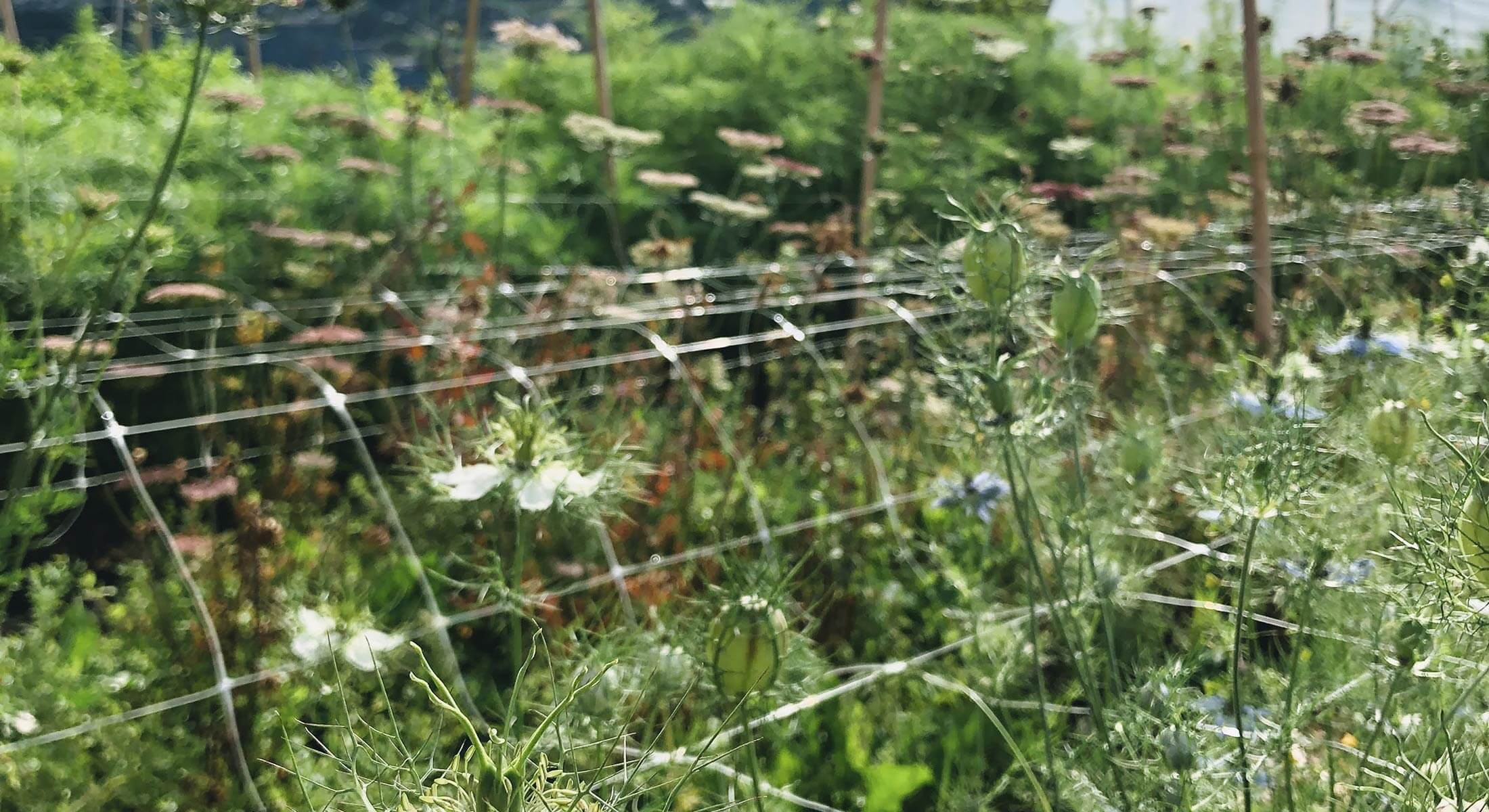 underland-gard4 underland-gard4